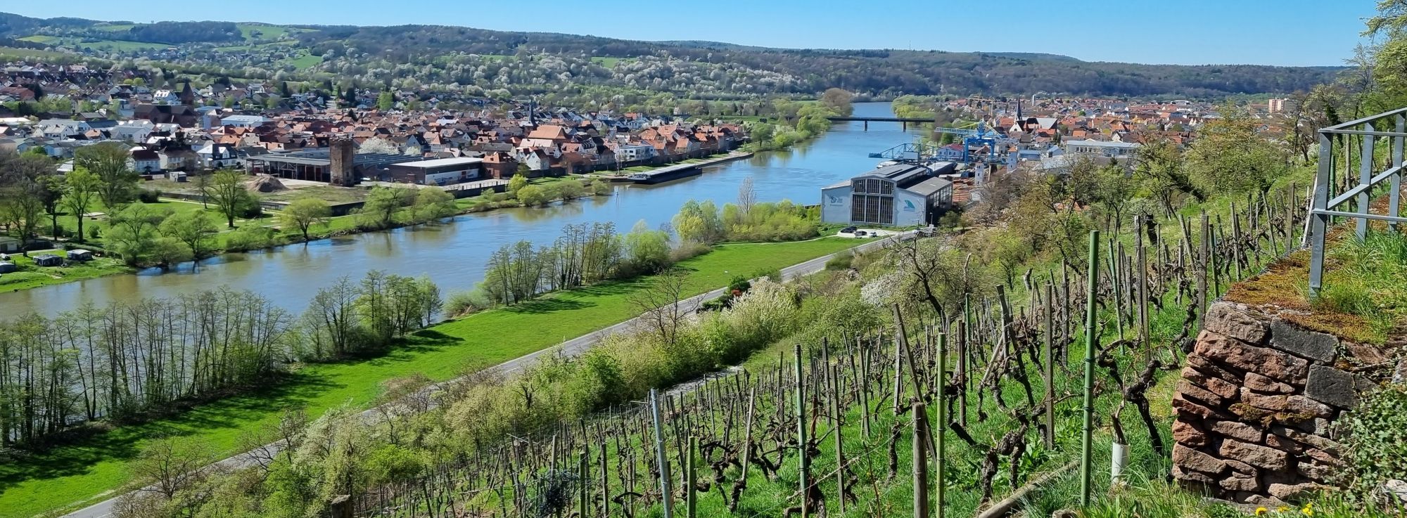 Fränkischer Rotweinwanderweg