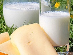 Milch und Käse