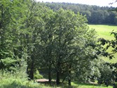 wald1001