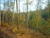 wald1058