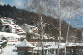 winter1039