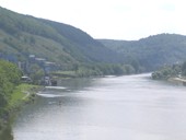erlenbach1010